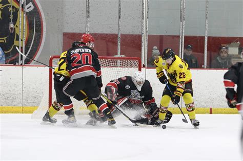 Black Bears Take Down Titans | Pro Hockey News