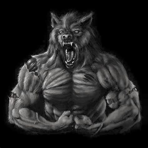 A Ripped Werewolf Furry Wolf Alpha Werewolf Alpha Wolf