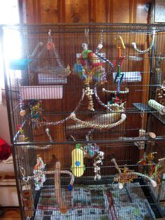 24 Budgie Cages ideas | pet bird cage, pet birds, bird aviary