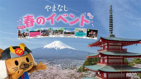 子どもと楽しめる！山梨 春のイベント特集／富士の国やまなし観光ネット 山梨県公式観光情報