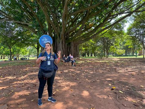 Parque Ibirapuera O Que Fazer Alice Pelo Mundo