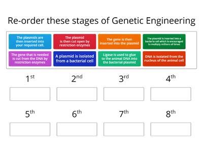 Genetic Engineering Teaching Resources