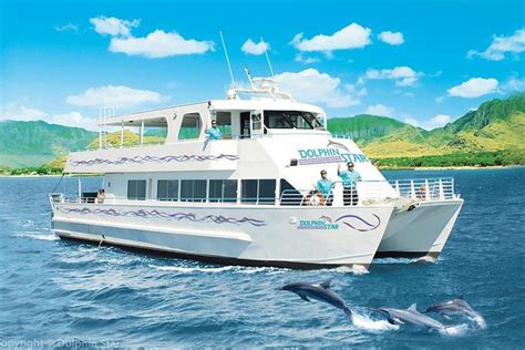 Oahu Wild Dolphin Watching Cruise With Optional Snorkel: Triphobo