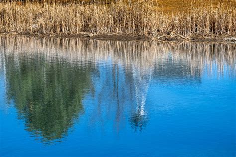 Reflections Weekly Challenge Nature Photographers Network