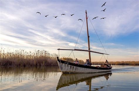 Visitando La Albufera De Valencia Viajablog