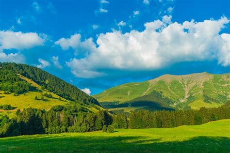 Premium Photo | French alps in summer