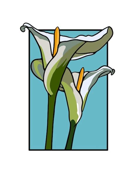 Premium Vector Two Calla Lilly Flowers Vector Illustration