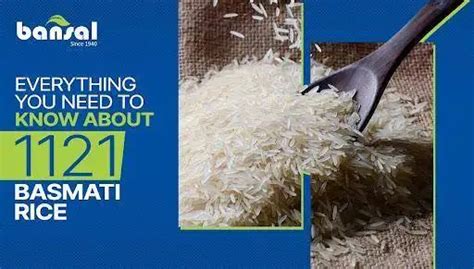 Everything You Need To Know About 1121 Basmati Rice Bansal Fine Foods