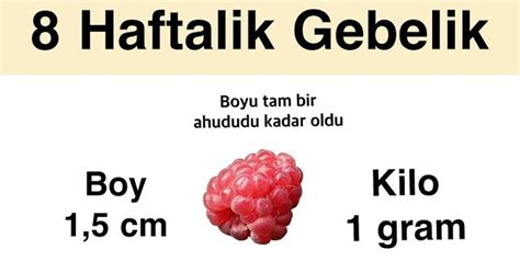 8 Haftalık Gebelik Hamilelik Ultrason Görüntüleri Gebelik Görüntüsü