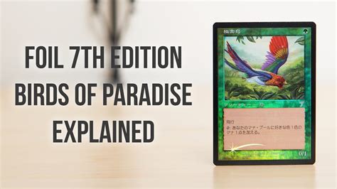 37％割引オレンジ系全てのアイテム 【希少】mtg 極楽鳥 Birds Of Paradise 7ed Foil マジック：ザ・ギャザリング トレーディングカードオレンジ系 Ota On