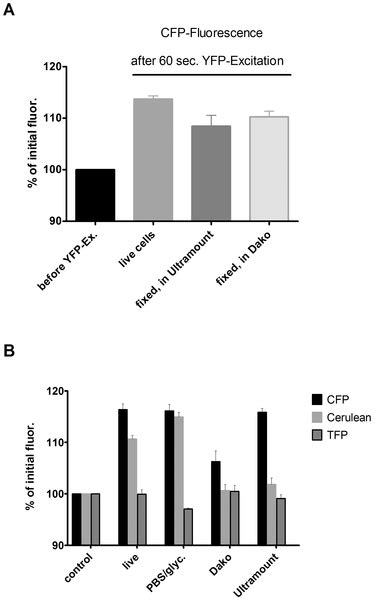 Cyan Fluorescent Protein Plos One