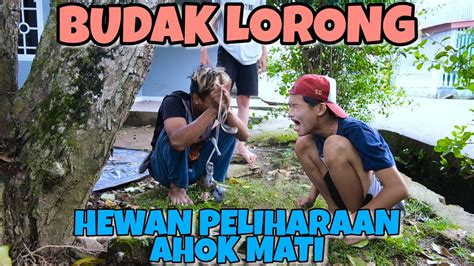 Hewan Peliharaan Ahok Mati Budak Lorong Episode Youtube