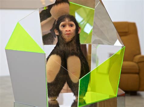 I Made A New Post Human What The FUCK Should I Call Him R AllTomorrows