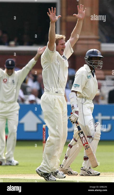 England S Matthew Hoggard Celebrates His Dismissal Of Sri Lanka S Jehan