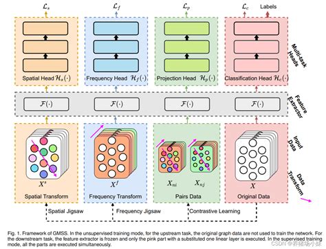 Gmss Graph Based Multi Task Self Supervised Learning For Eeg Emotion