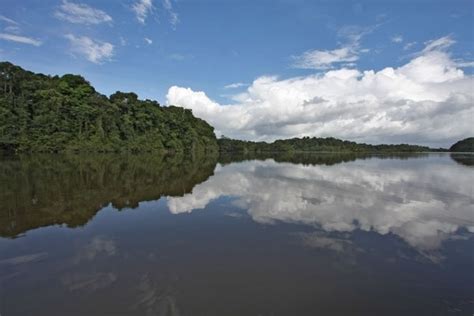 26 best images about Berbice, Guyana on Pinterest | West coast, Rivers ...