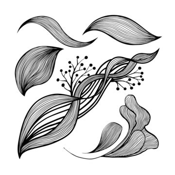 abstract  art wallpaper png transparent images