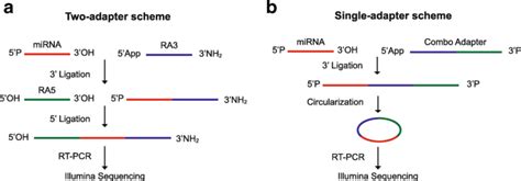 Decreasing Mirna Sequencing Bias Using A Single Adapter And Circularization Approach Genome