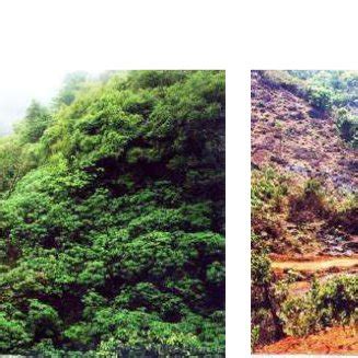 PDF Western Ghats Biodiversity Hotspot Species Distribution And