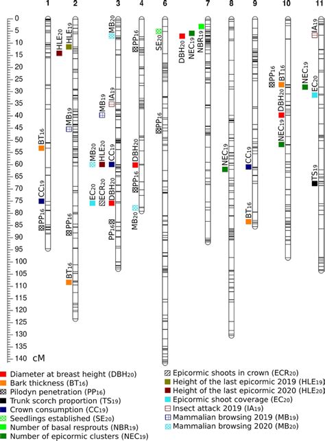 The Genomic Distribution Of Quantitative Trait Loci Qtl Associated