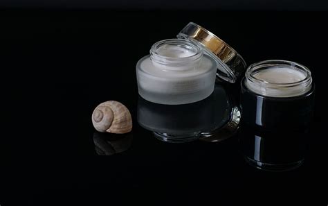 Cosmetics Face Cream Creams Shell Of A Snail Skin Care Makeup