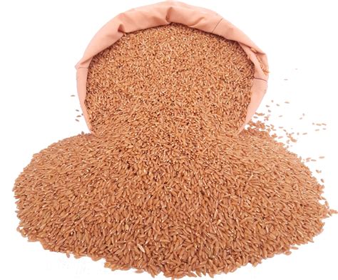 Benefits Of Khapli Wheat Emmer Wheat RANMEVA