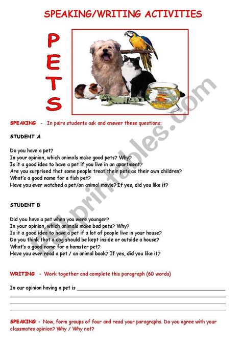 Speaking And Writing About Pets Esl Worksheet By Crisprata