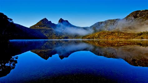 Gondwana Rainforests Of Australia Queensland Whizzed Net