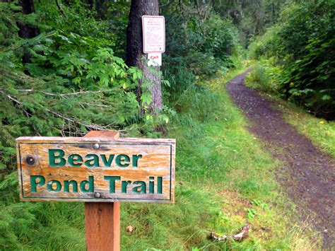 Beaver Pond Trail