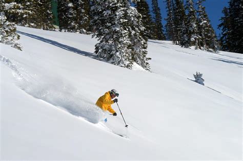 Steamboat Ski Resort - Terrain & Mountain Stats | Ski Bookings