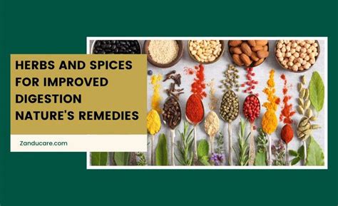 Boost Digestion With Natural Herbs And Spices