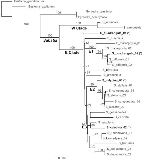 Best Maximum Likelihood Phylogram Of Sabatia And Relatives Taxon