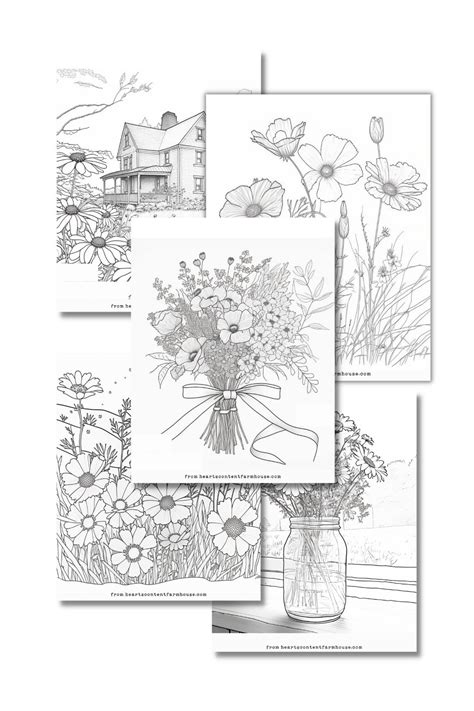 Wildflower Coloring Pages {Free + Easy Download}