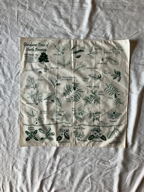 Trail Hankie Delicous Tree Bandana Ninth Sense