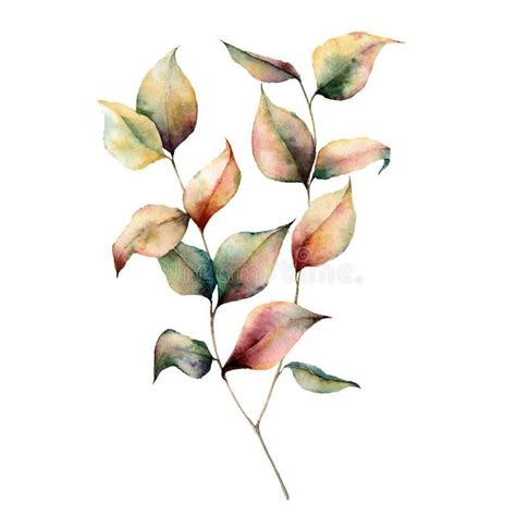 Watercolor Plants Watercolor Effects Watercolour Painting Watercolor