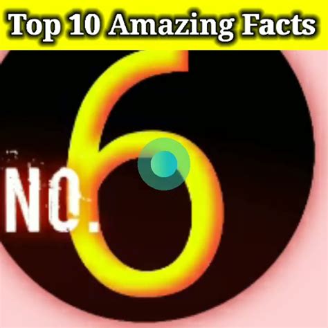 Top Amazing Fact Fact Shorts Viral Factsinhindi Facts