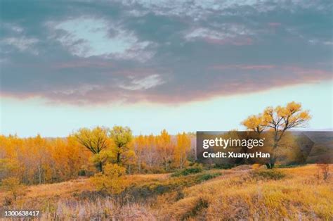 Steppes Farming Photos And Premium High Res Pictures Getty Images