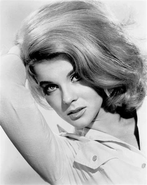 Ann Margret Ca Mid 1960s Photograph By Everett Fine Art America