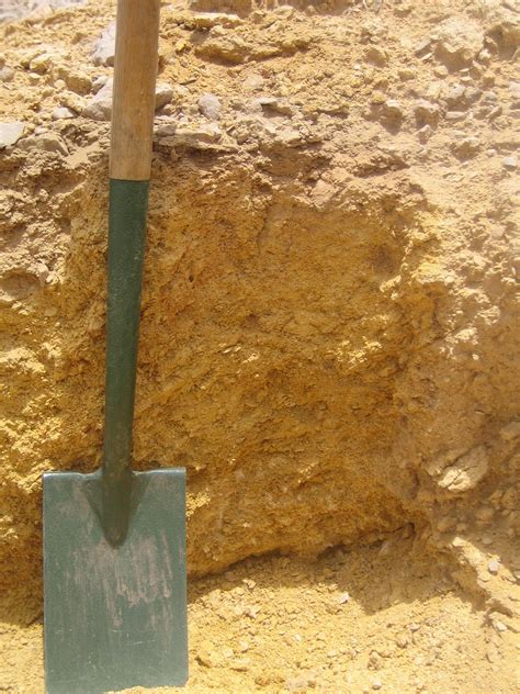 Calcareous soils - Tim O'Hare Associates