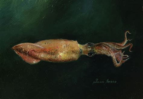 Squid Painting By Juan Bosco Pixels