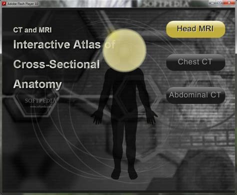 Ct And Mri Interactive Atlas Of Cross Sectional Anatomy 11e Download