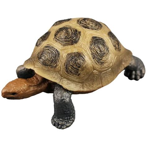 Land Tortoise Model Plastic Land Turtle Decor Realistic Tortoise