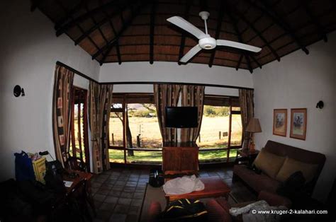 Bakubung Bush Lodge provides everything for a child-friendly safari