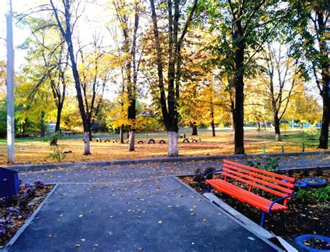 Осень во дворе 🍂