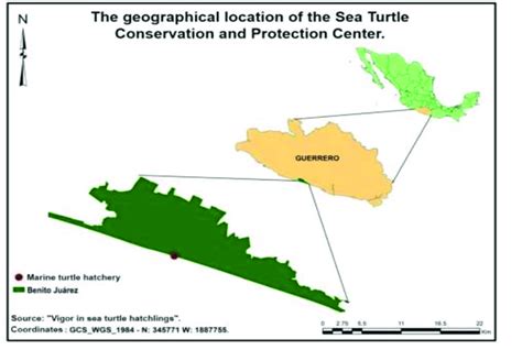 geographical location   sea turtle conservation  protection