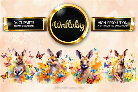 Wallaby Clipart Bundle 04 Variations Graphic By Hurairagraphics