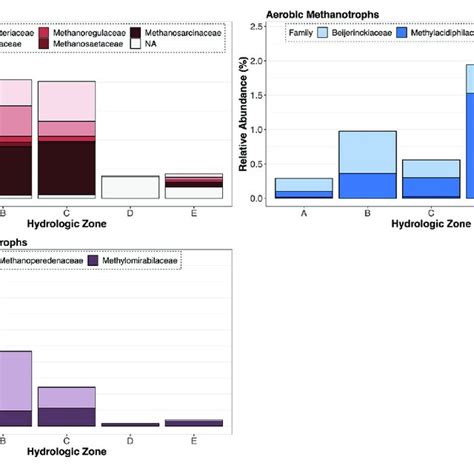 Total Relative Abundance Of Methanogens Red Aerobic Methanotrophs