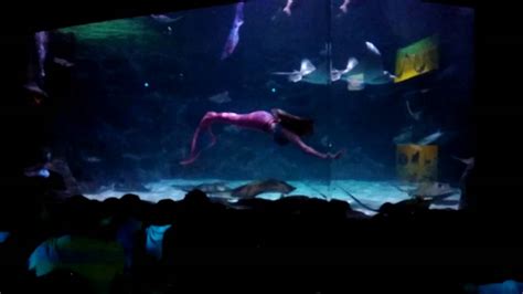 Ripleys Aquarium Mermaid Show Youtube