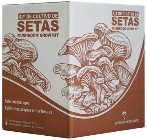 Caja Kit Setas Setas Canarias