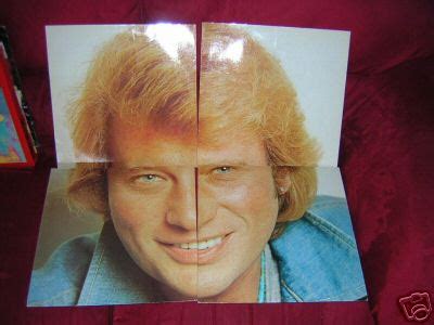 Popsike ENSEMBLE DE 4 LP PUZZLE JOHNNY HALLYDAY SUPER ETAT